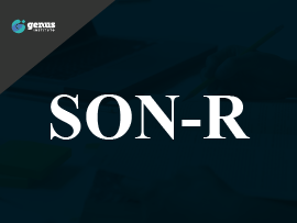 SON - R 2 1/2 - 7 [A] - Teste Não Verbal para Avaliação da Inteligência Geral